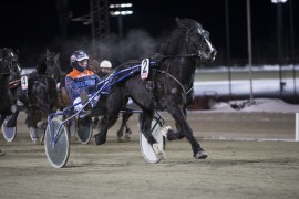 Slik så det ut da Smedtulla tok sin hittil siste seier – tross sin sedvanlige galopp slo hun gode hester på Bjerke i januar (foto: hesteguiden.com)
