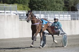 Sven Olav Weberg hadde Sober Sam i unghesttrening – her fra mønstringsløpet i 2016 (foto: hesteguiden.com)